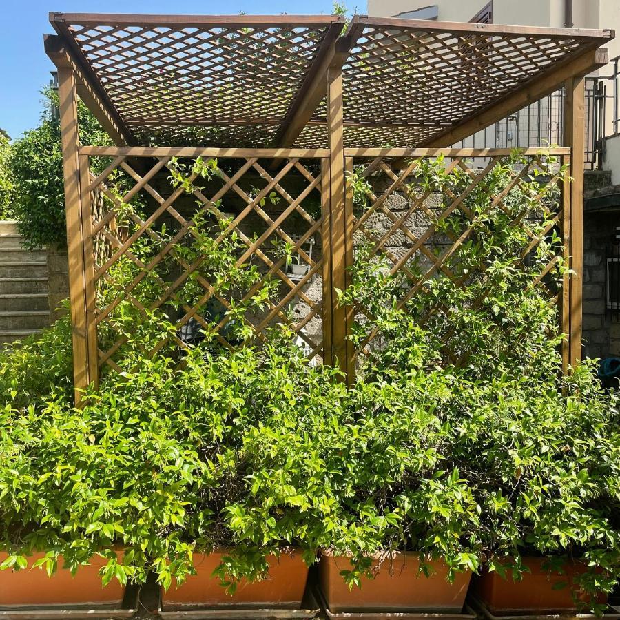Ferienwohnung La Dolce Vita Pitigliano Exterior foto